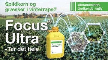 Basf_Focus-Ultra-Teaser-16x9-1920x1080px_360x203